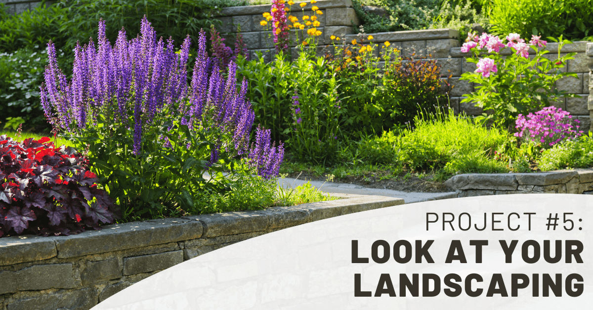 Look at Your Landscaping Look at Your Landscaping